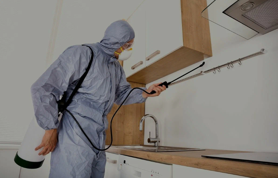 Agoura Hills pest managment